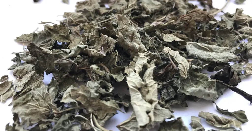 Tea leaves dried by hand