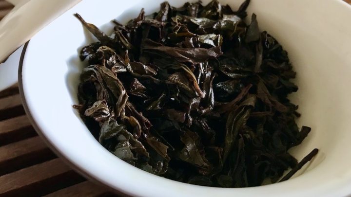 Wet loose leaf oolong tea leaves in a gaiwan