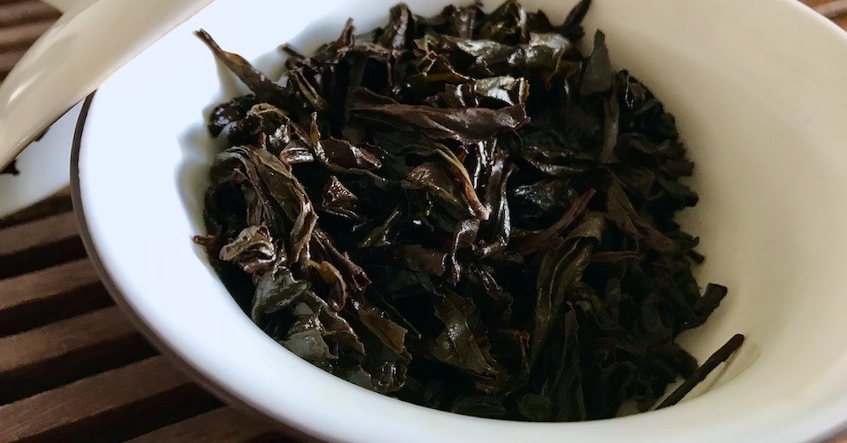 Wet loose leaf oolong tea leaves in a gaiwan