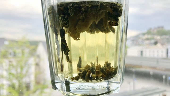Loose leaf green tea floating in a glass of water