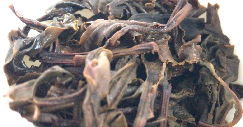 Wet tea leaves in a gaiwan